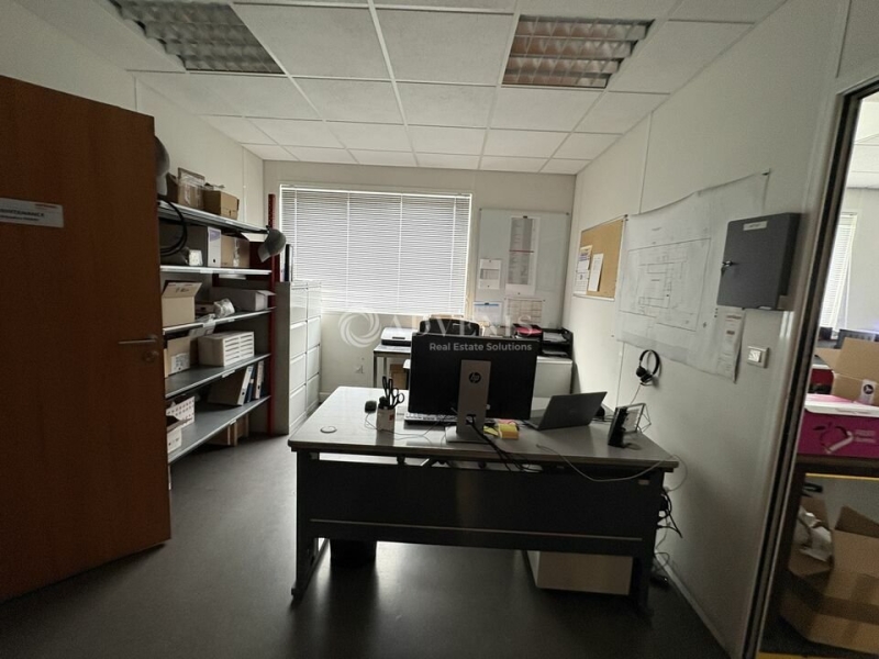 Vente Investisseur Activités Entrepôts DUTTLENHEIM (67120) - Photo 6