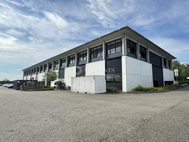 Vente Investisseur Activités Entrepôts WISSEMBOURG (67160) - Photo 10
