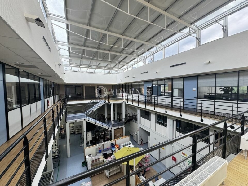 Vente Investisseur Activités Entrepôts WISSEMBOURG (67160) - Photo 3