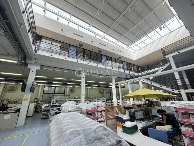 Vente Investisseur Activités Entrepôts WISSEMBOURG (67160) - Photo 4