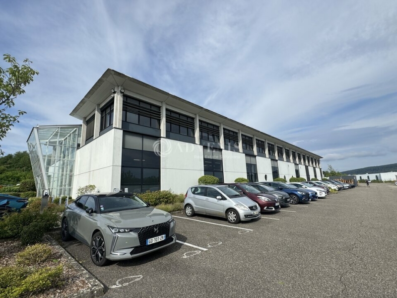 Vente Investisseur Activités Entrepôts WISSEMBOURG (67160) - Photo 9