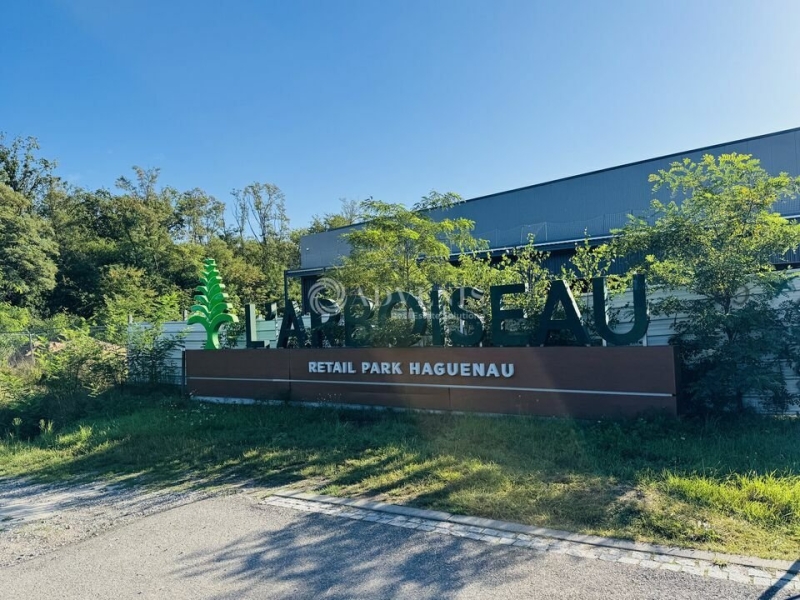 Location Activités Entrepôts HAGUENAU (67500) - Photo 3