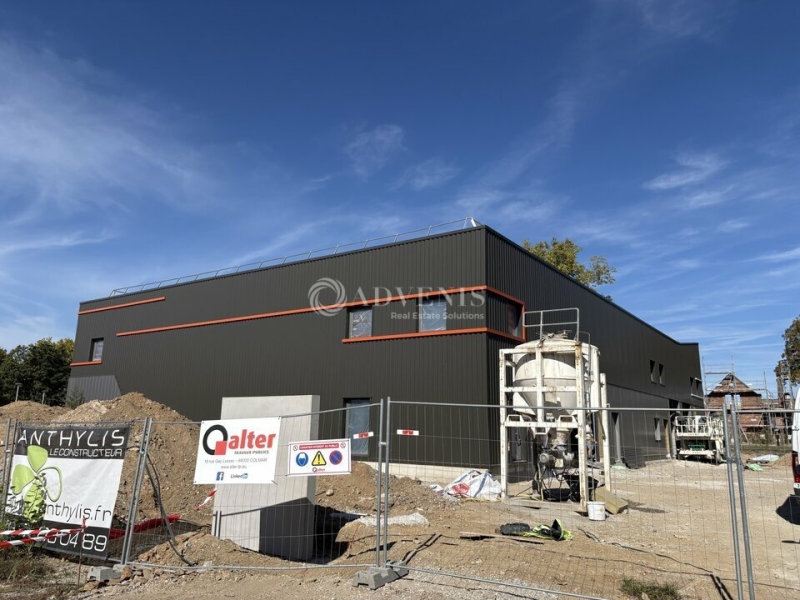 Location Activités Entrepôts HOERDT (67720) - Photo 5