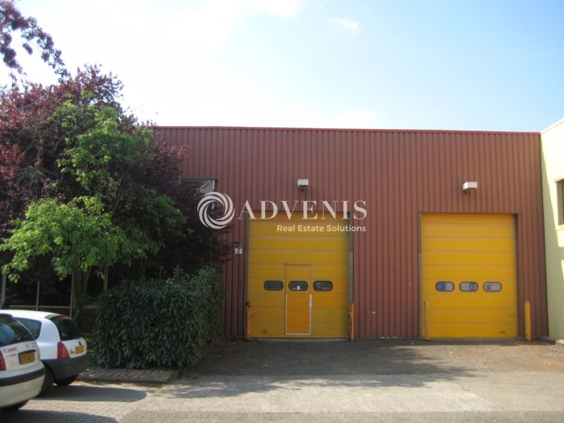 Location Activités Entrepôts LINGOLSHEIM (67380) - Photo 1