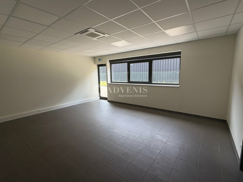 Location Activités Entrepôts ILLKIRCH GRAFFENSTADEN (67400) - Photo 6