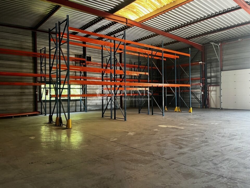 Location Activités Entrepôts GEISPOLSHEIM (67118) - Photo 7