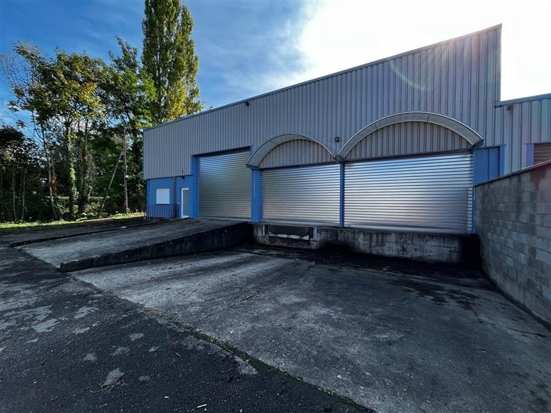 Location Activités Entrepôts FEGERSHEIM (67640) - Photo 5