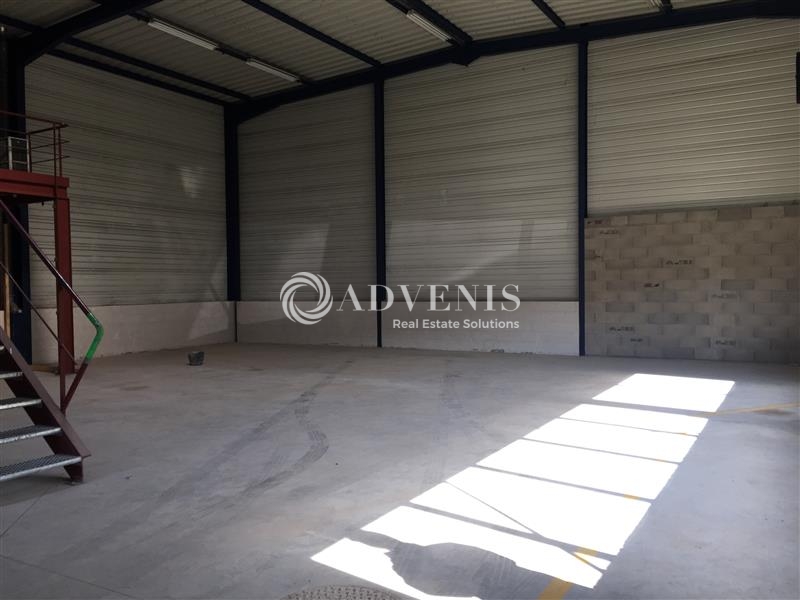 Location Activités Entrepôts FEGERSHEIM (67640) - Photo 3