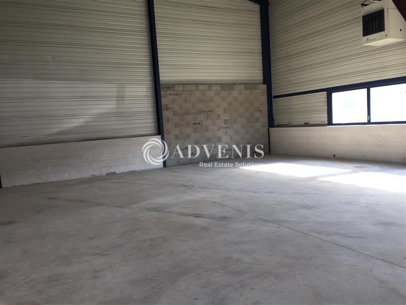 Location Activités Entrepôts FEGERSHEIM (67640) - Photo 4