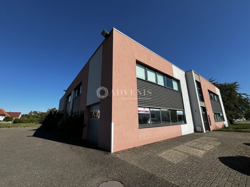 Location Bureaux et activités légères BISCHOFFSHEIM (67870) - Photo 2