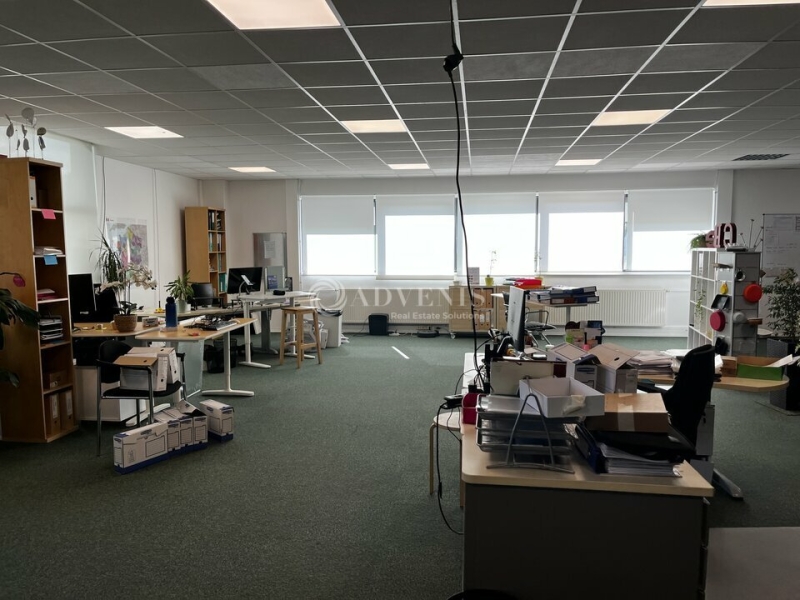 Location Bureaux et activités légères BISCHOFFSHEIM (67870) - Photo 5