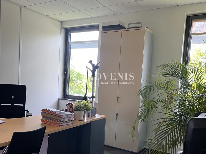 Location Bureaux ENTZHEIM (67960) - Photo 7