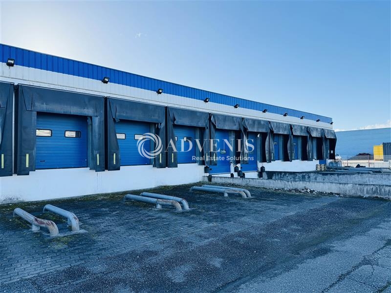 Location Entrepôts SOUFFELWEYERSHEIM (67460) - Photo 1