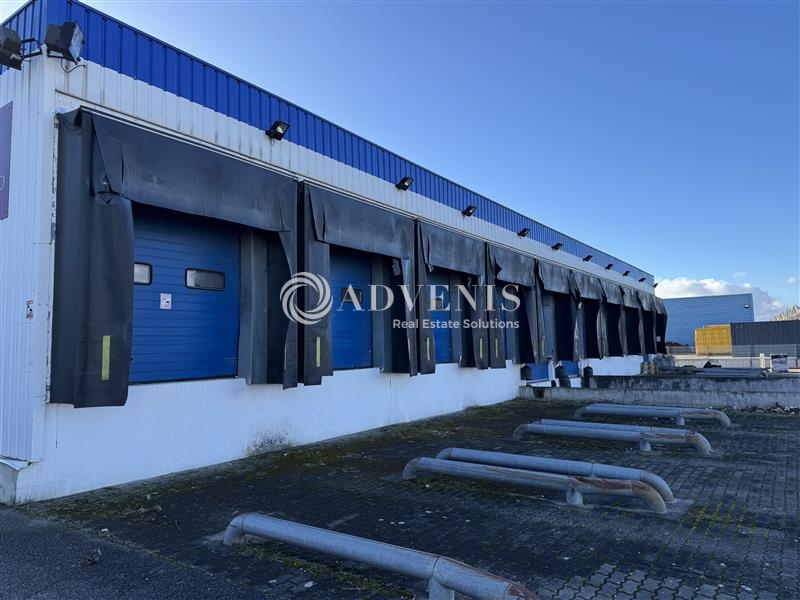 Location Entrepôts SOUFFELWEYERSHEIM (67460) - Photo 3