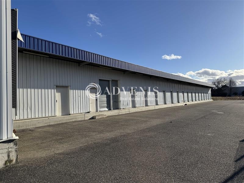 Location Entrepôts SOUFFELWEYERSHEIM (67460) - Photo 5