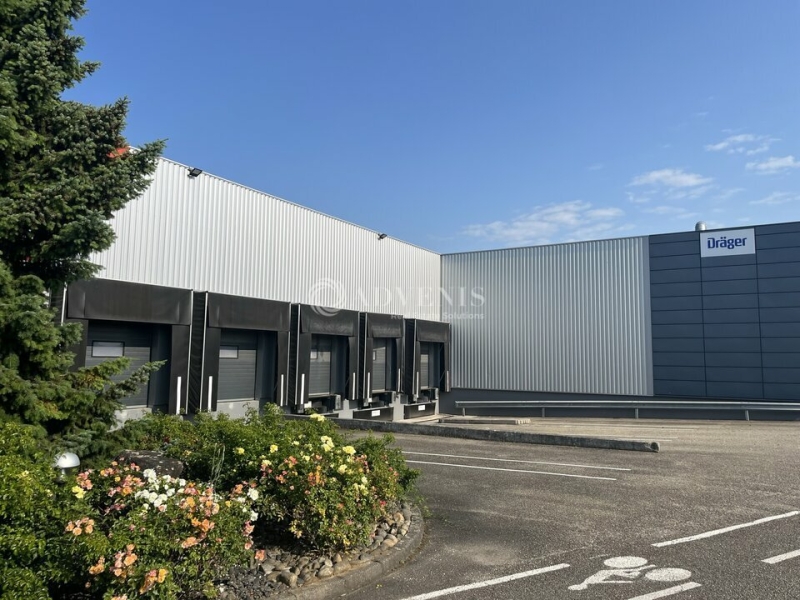 Location Entrepôts OBERNAI (67210) - Photo 11