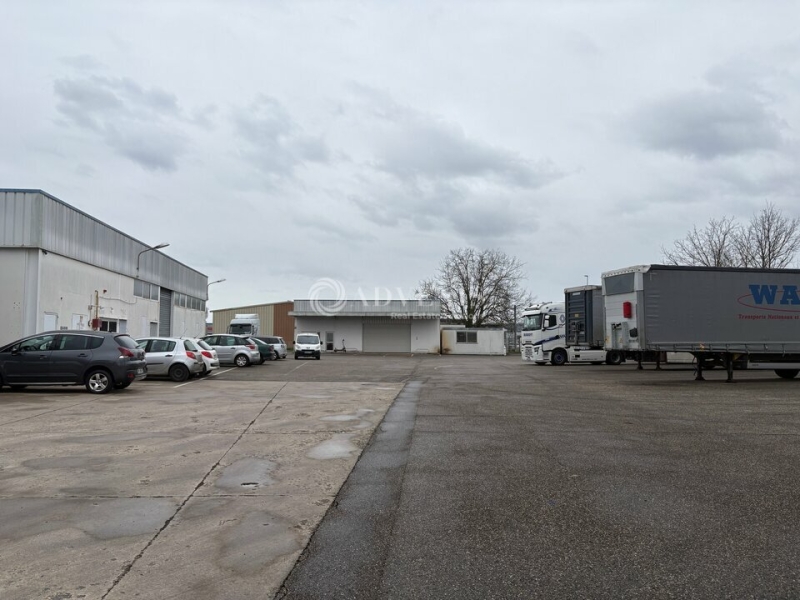 Location Activités Entrepôts ILLKIRCH GRAFFENSTADEN (67400) - Photo 1