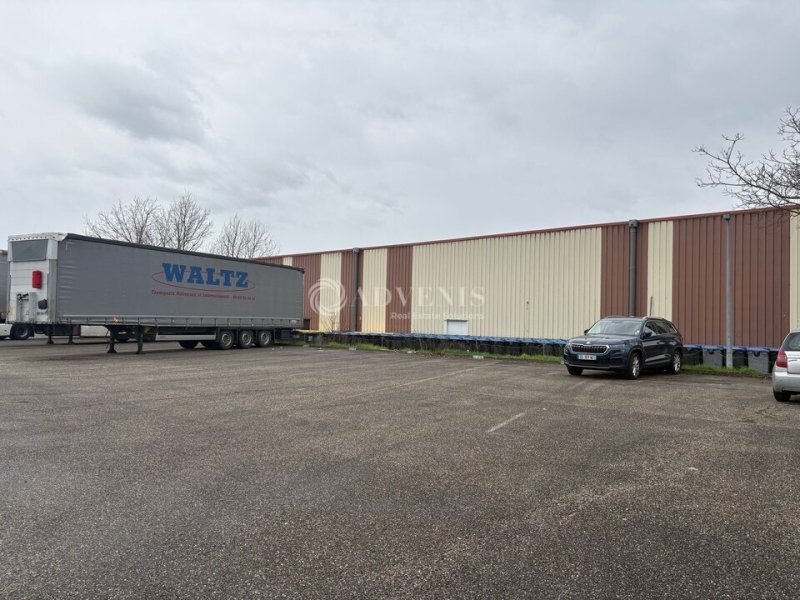 Location Activités Entrepôts ILLKIRCH GRAFFENSTADEN (67400) - Photo 6