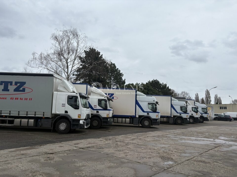 Location Activités Entrepôts ILLKIRCH GRAFFENSTADEN (67400) - Photo 7