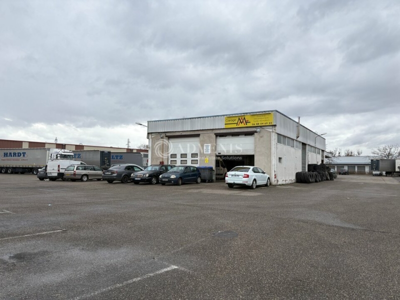 Location Activités Entrepôts ILLKIRCH GRAFFENSTADEN (67400) - Photo 9