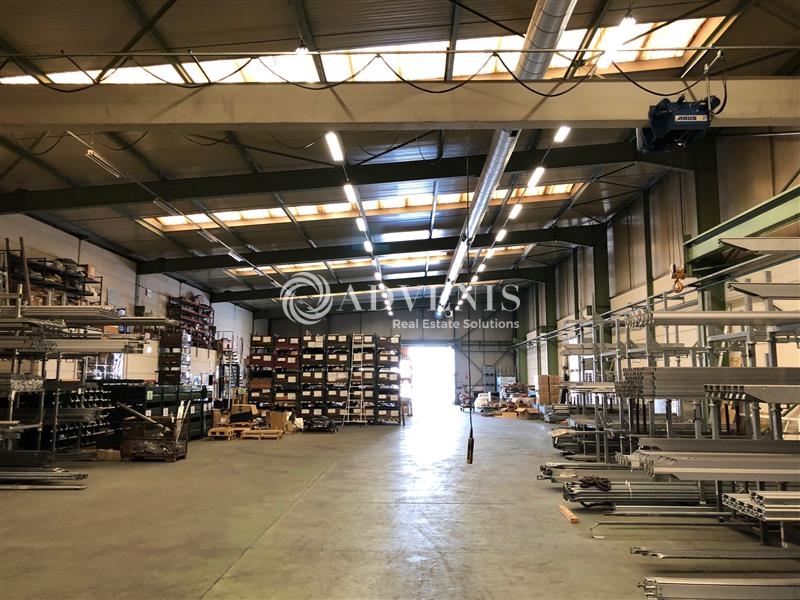 Location Activités Entrepôts REICHSTETT (67116) - Photo 3