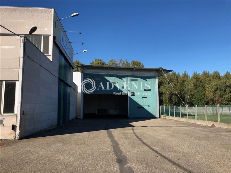 Location Activités Entrepôts REICHSTETT (67116) - Photo 4