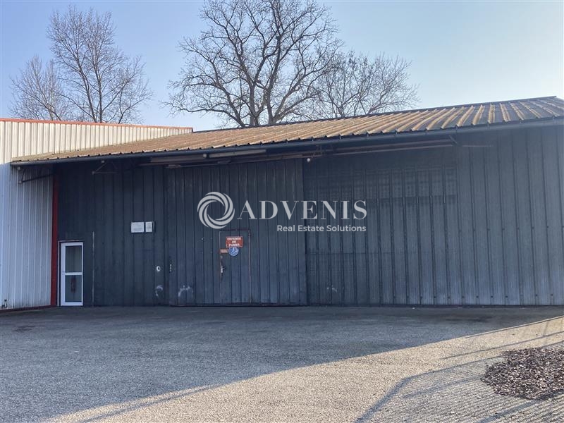 Location Activités Entrepôts STRASBOURG (67000) - Photo 1