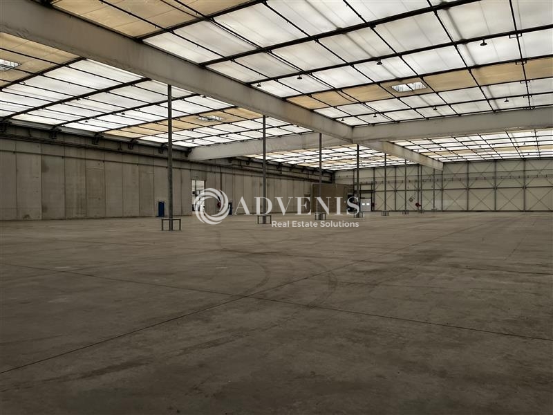 Location Entrepôts STRASBOURG (67000) - Photo 10