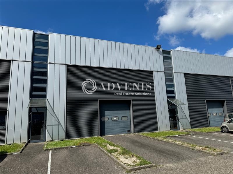 Location Activités Entrepôts MUNDOLSHEIM (67450) - Photo 3
