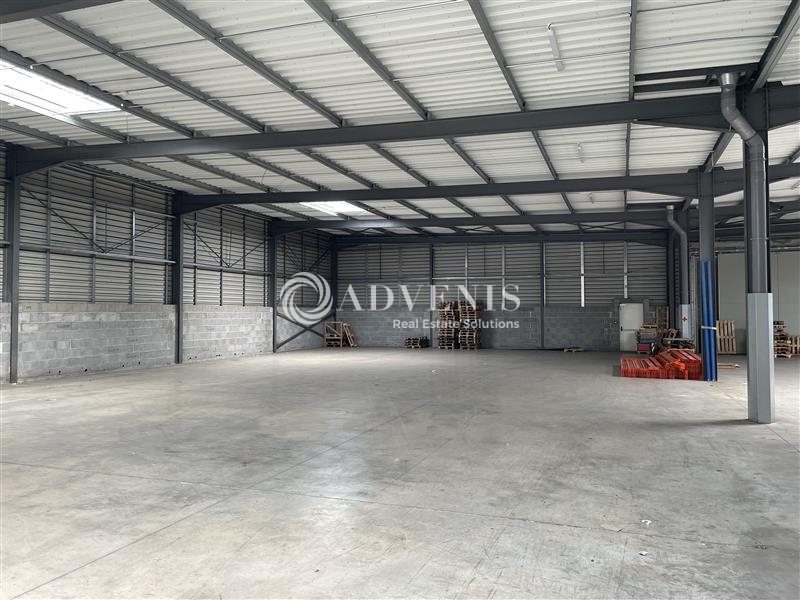 Location Activités Entrepôts LE HAILLAN (33185) - Photo 8