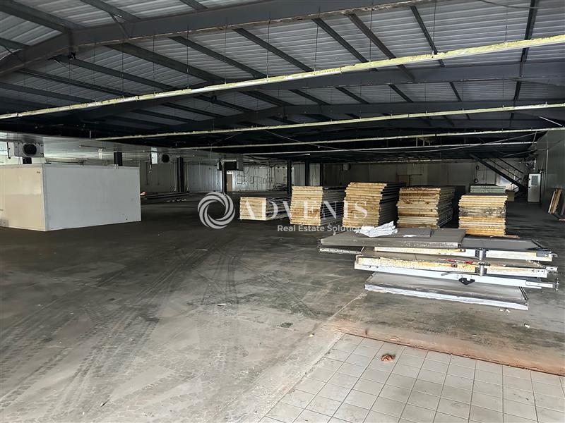 Location Activités Entrepôts LORMONT (33310) - Photo 5