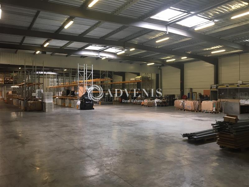 Location Activités Entrepôts LE HAILLAN (33185) - Photo 1