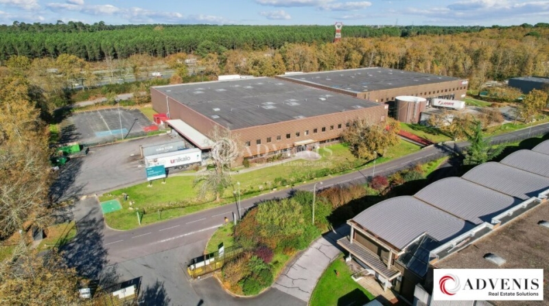 Location Activités Entrepôts CANÉJAN (33610) - Photo 11