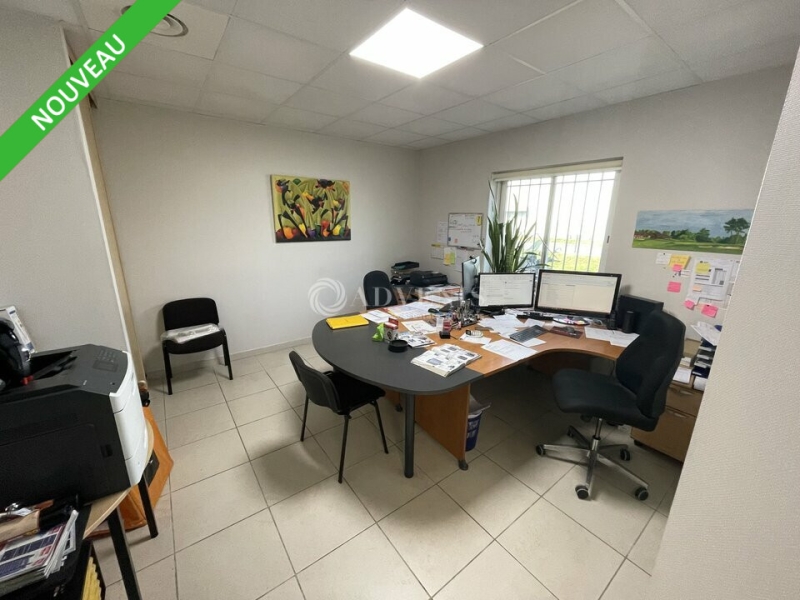 Vente Investisseur Activités Entrepôts SAINT MEDARD EN JALLES (33160) - Photo 8