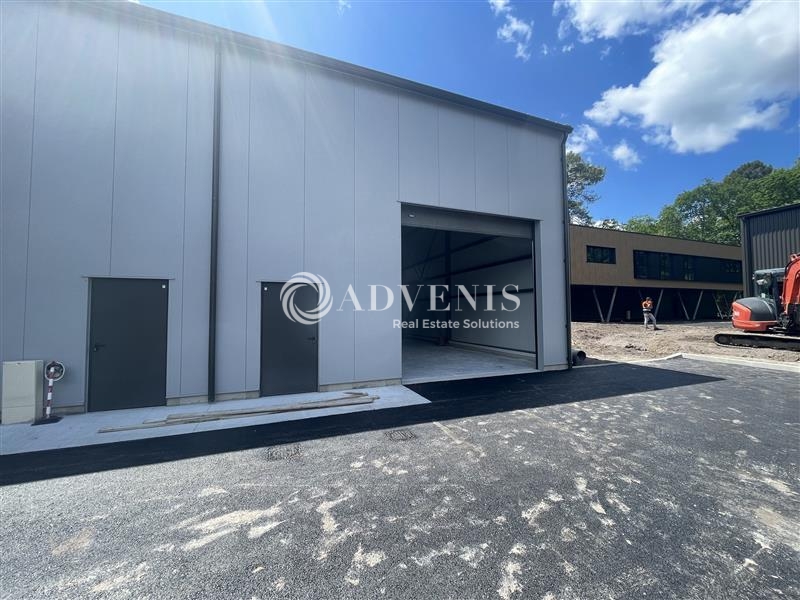 Location Activités Entrepôts CANEJAN (33610) - Photo 7
