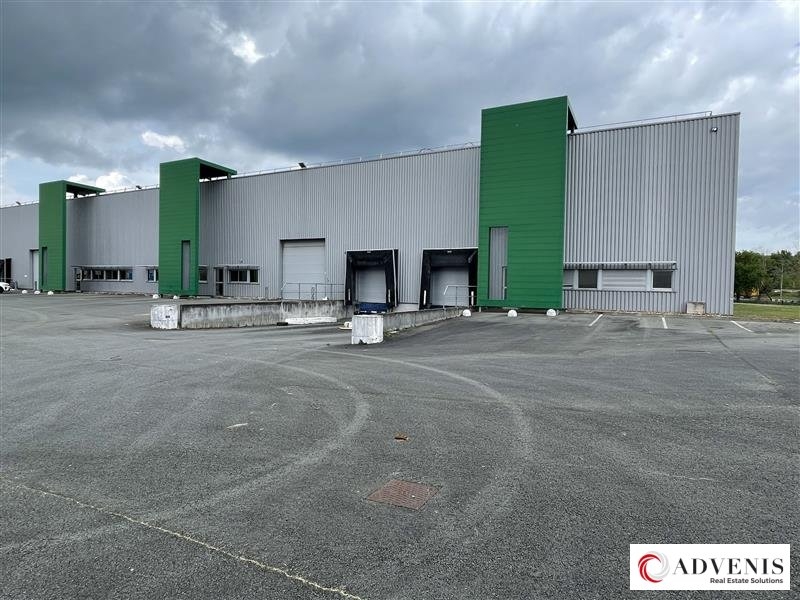 Location Activités Entrepôts BLANQUEFORT (33290) - Photo 10