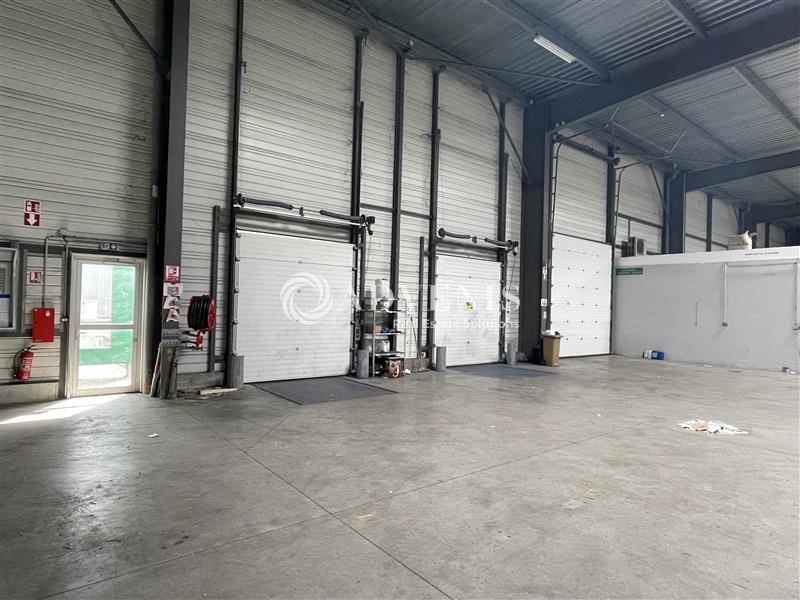 Location Activités Entrepôts BLANQUEFORT (33290) - Photo 5