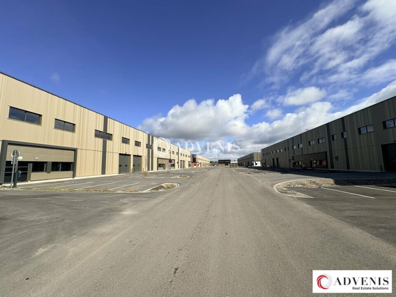 Location Activités Entrepôts LE HAILLAN (33185) - Photo 1