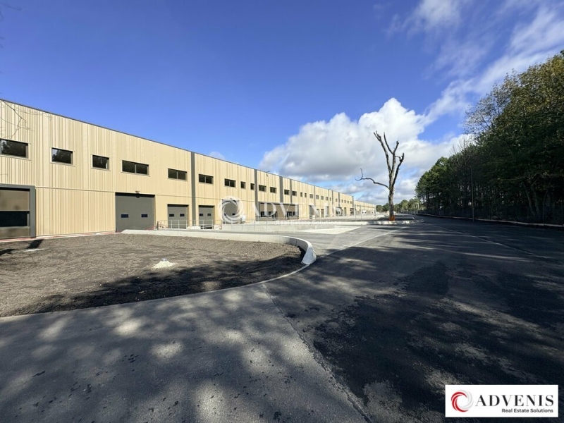 Location Activités Entrepôts LE HAILLAN (33185) - Photo 4