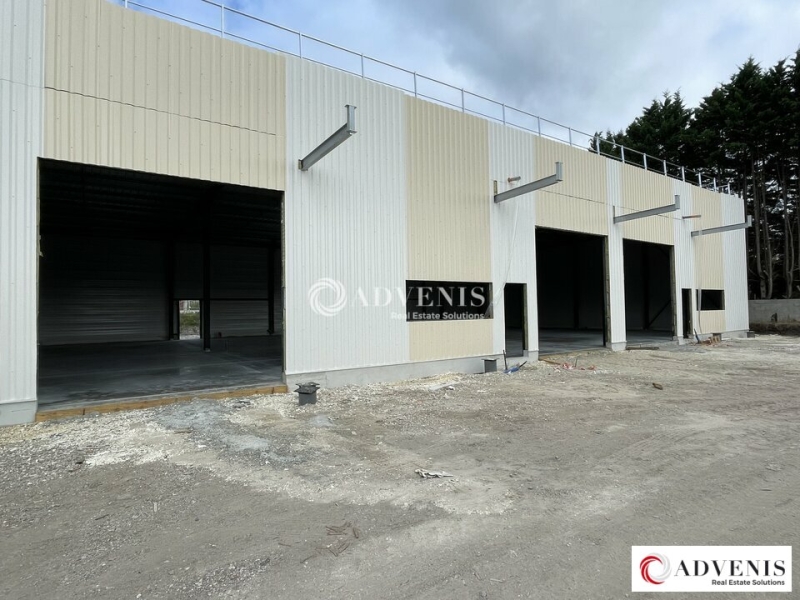 Location Activités Entrepôts BLANQUEFORT (33290) - Photo 6