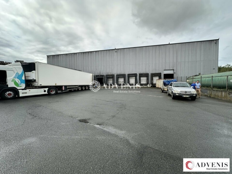Location Activités Entrepôts AMBARÈS ET LAGRAVE (33440) - Photo 8