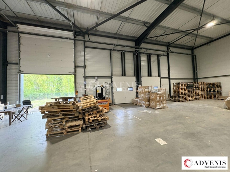 Location Activités Entrepôts AMBARÈS ET LAGRAVE (33440) - Photo 5