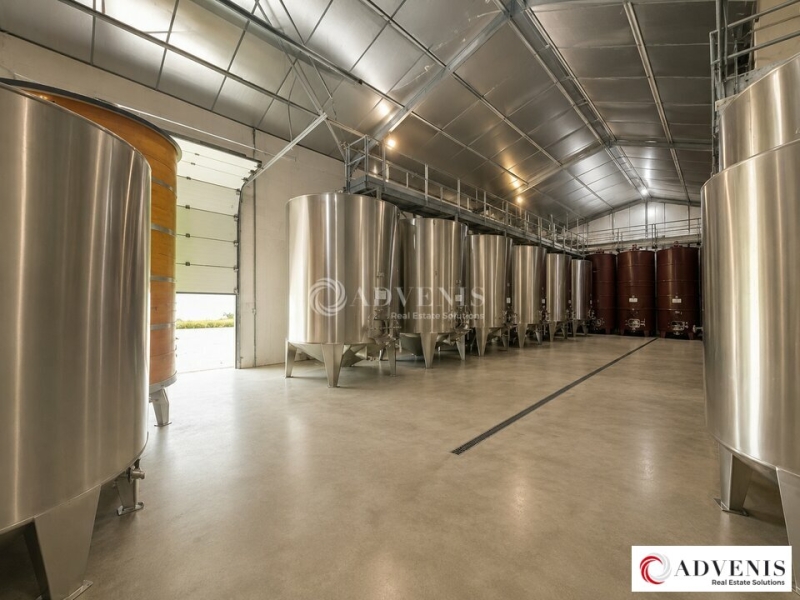 Vente Investisseur Activités Entrepôts BEAUTIRAN (33640) - Photo 3
