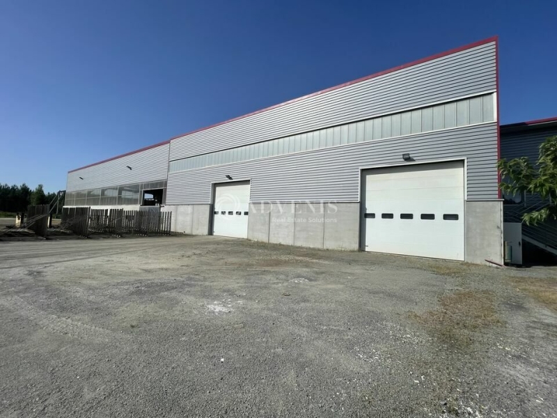Location Activités Entrepôts LE BARP (33114) - Photo 10