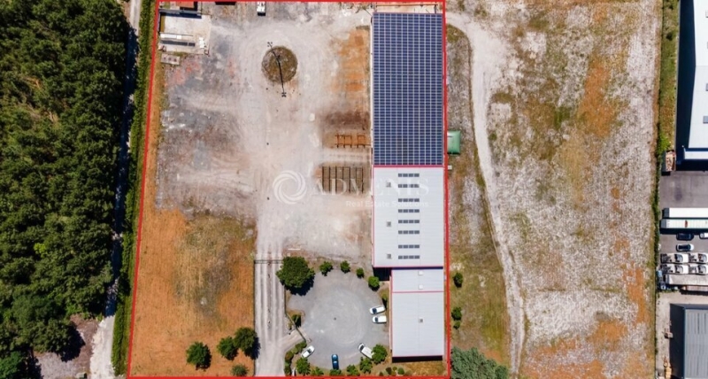 Location Activités Entrepôts LE BARP (33114) - Photo 11