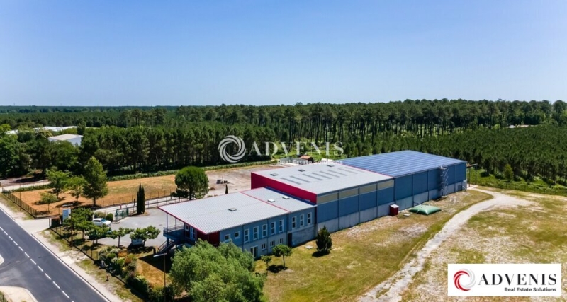 Location Activités Entrepôts LE BARP (33114) - Photo 6