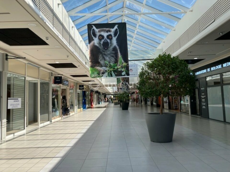 Location Commerces LORMONT (33310) - Photo 1