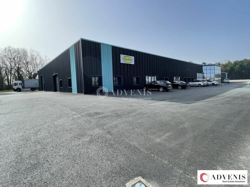 Location Activités Entrepôts PUGNAC (33710) - Photo 1