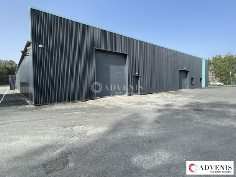 Location Activités Entrepôts PUGNAC (33710) - Photo 11