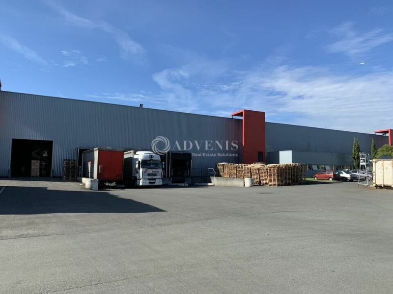 Location Activités Entrepôts BLANQUEFORT (33290) - Photo 4
